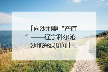 向沙地要“产值”——辽宁科尔沁沙地兴绿见闻