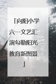 向阳小学六一文艺汇演勾勒阳光教育新图景