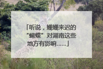 听说，姗姗来迟的“蝴蝶”对湖南这些地方有影响……