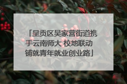 呈贡区吴家营街道携手云南师大 校地联动铺就青年就业创业路
