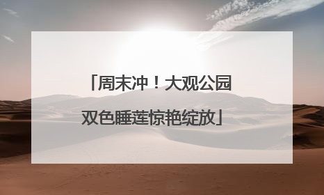 周末冲！大观公园双色睡莲惊艳绽放