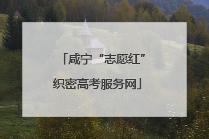 咸宁“志愿红”织密高考服务网