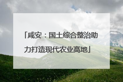 咸安：国土综合整治助力打造现代农业高地