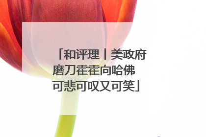 和评理丨美政府磨刀霍霍向哈佛 可悲可叹又可笑