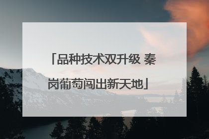 品种技术双升级 秦岗葡萄闯出新天地