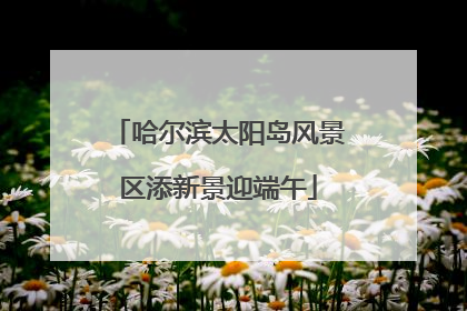 哈尔滨太阳岛风景区添新景迎端午