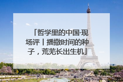 哲学里的中国·现场评丨播撒时间的种子，荒芜长出生机