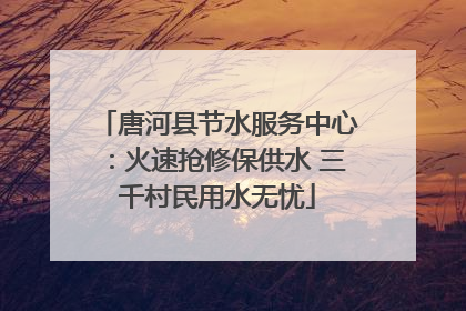 唐河县节水服务中心：火速抢修保供水 三千村民用水无忧