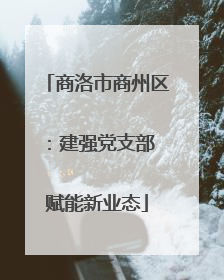 商洛市商州区：建强党支部 赋能新业态