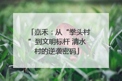 嘉禾：从“拳头村”到文明标杆 清水村的逆袭密码