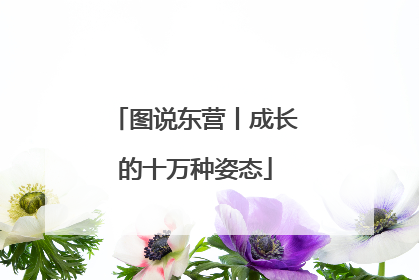图说东营丨成长的十万种姿态