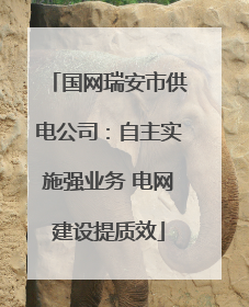 国网瑞安市供电公司：自主实施强业务 电网建设提质效