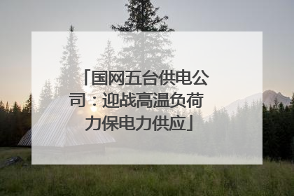 国网五台供电公司：迎战高温负荷 力保电力供应