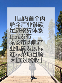 国内首个肉鸭全产业链碳足迹核算体系正式发布——泰安市肉鸭产业低碳发展标准示范项目顺利通过验收