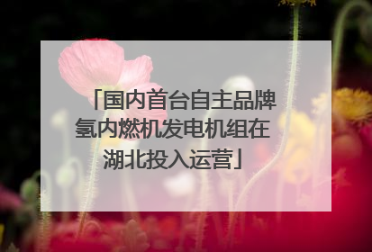 国内首台自主品牌氢内燃机发电机组在湖北投入运营