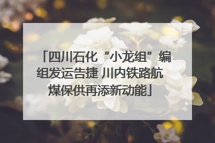 四川石化“小龙组”编组发运告捷 川内铁路航煤保供再添新动能
