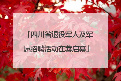 四川省退役军人及军属招聘活动在蓉启幕