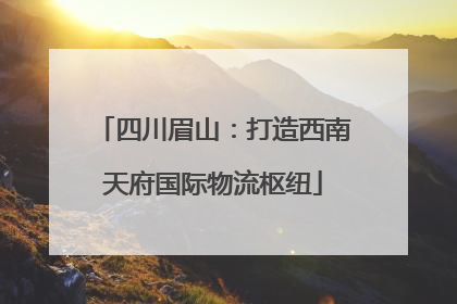 四川眉山：打造西南天府国际物流枢纽