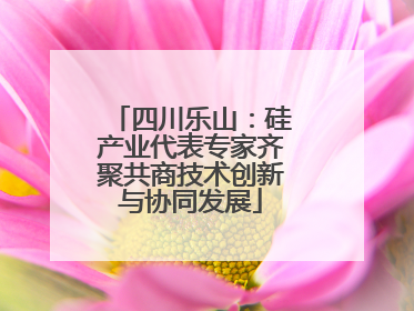 四川乐山：硅产业代表专家齐聚共商技术创新与协同发展