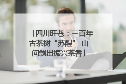 四川旺苍：三百年古茶树“苏醒” 山间飘出振兴茶香