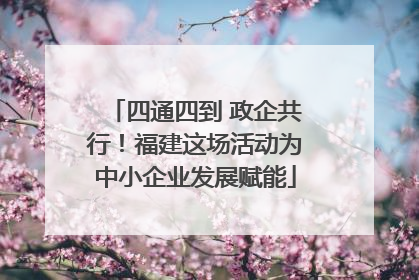 四通四到 政企共行！福建这场活动为中小企业发展赋能