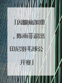 因腿痛加重，陈雨菲退出印尼羽毛球公开赛