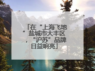 在“上海飞地”盐城市大丰区，“沪苏”品牌日益响亮