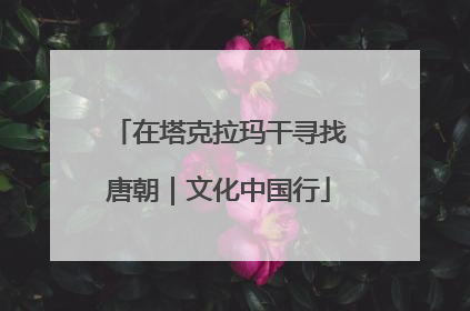 在塔克拉玛干寻找唐朝｜文化中国行