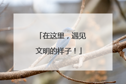 在这里，遇见文明的样子！