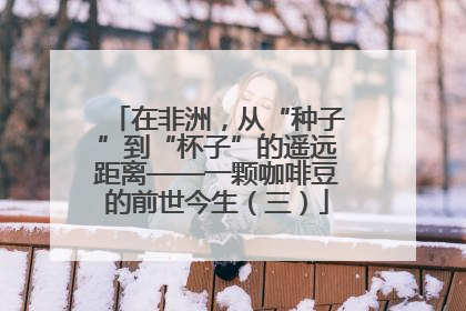 在非洲，从“种子”到“杯子”的遥远距离——一颗咖啡豆的前世今生（三）