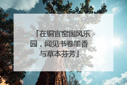 在铜官窑国风乐园，闻见书卷墨香与草本芬芳