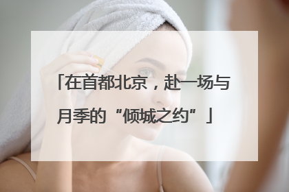 在首都北京，赴一场与月季的“倾城之约”