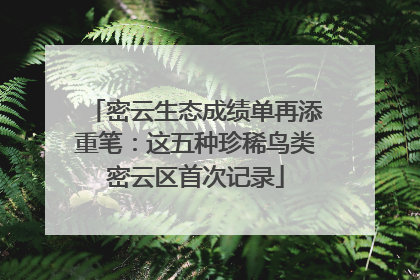 密云生态成绩单再添重笔：这五种珍稀鸟类密云区首次记录