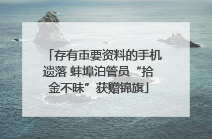 存有重要资料的手机遗落 蚌埠泊管员“拾金不昧”获赠锦旗