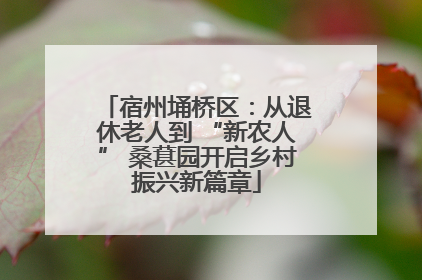 宿州埇桥区：从退休老人到 “新农人” 桑葚园开启乡村振兴新篇章