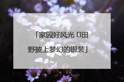 家园好风光 ⎮田野披上梦幻的银装