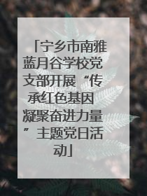 宁乡市南雅蓝月谷学校党支部开展“传承红色基因 凝聚奋进力量”主题党日活动