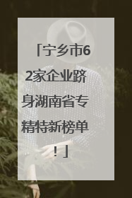 宁乡市62家企业跻身湖南省专精特新榜单！