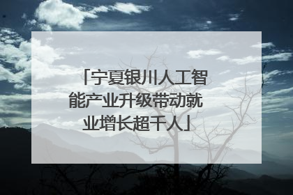 宁夏银川人工智能产业升级带动就业增长超千人
