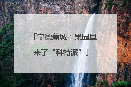宁德蕉城：果园里来了“科特派”