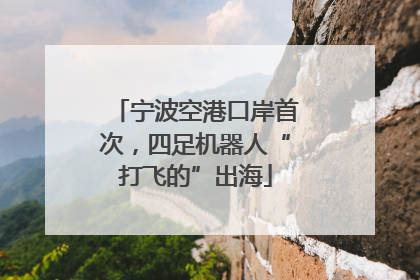 宁波空港口岸首次，四足机器人“打飞的”出海