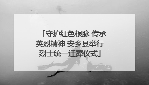 守护红色根脉 传承英烈精神 安乡县举行烈士统一迁葬仪式