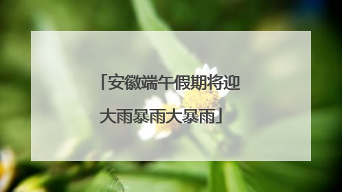安徽端午假期将迎大雨暴雨大暴雨