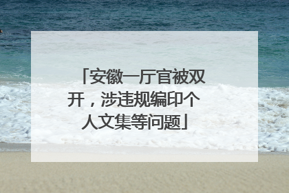 安徽一厅官被双开，涉违规编印个人文集等问题