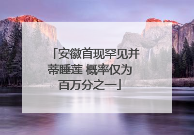 安徽首现罕见并蒂睡莲 概率仅为百万分之一