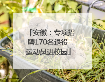 安徽：专项招聘170名退役运动员进校园