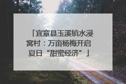 宜章县玉溪镇水浸窝村：万亩杨梅开启夏日“甜蜜经济”
