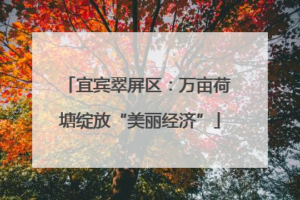 宜宾翠屏区：万亩荷塘绽放“美丽经济”