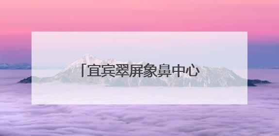 宜宾翠屏象鼻中心校：“幼芽”初探新枝，衔接共育未来