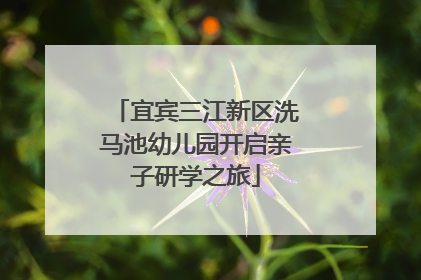 宜宾三江新区洗马池幼儿园开启亲子研学之旅